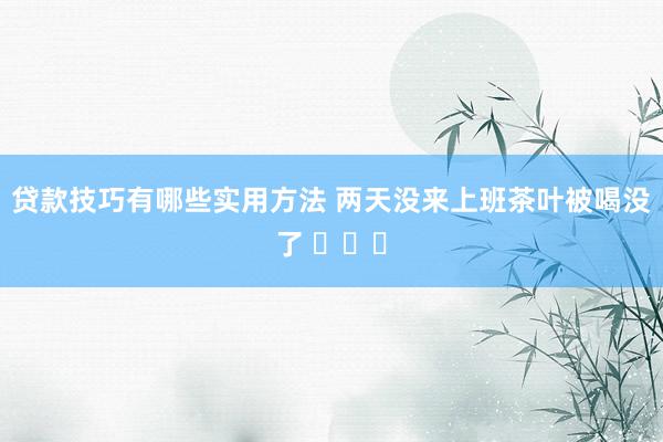 贷款技巧有哪些实用方法 两天没来上班茶叶被喝没了 ​​​