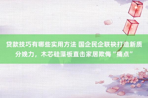 贷款技巧有哪些实用方法 国企民企联袂打造新质分娩力，木芯硅藻板直击家居欺侮“痛点”