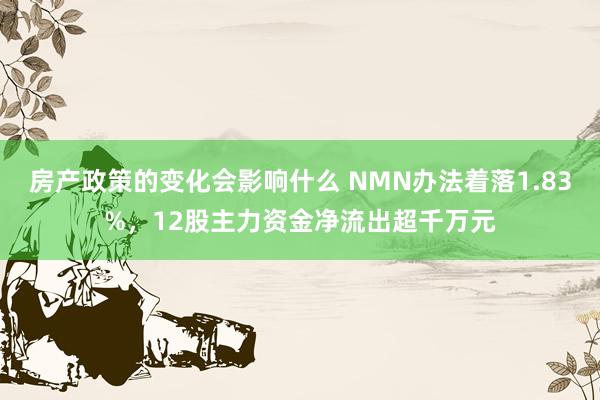 房产政策的变化会影响什么 NMN办法着落1.83%，12股主力资金净流出超千万元