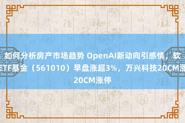 如何分析房产市场趋势 OpenAI新动向引感情，软件ETF基金（561010）早盘涨超3%，万兴科技20CM涨停