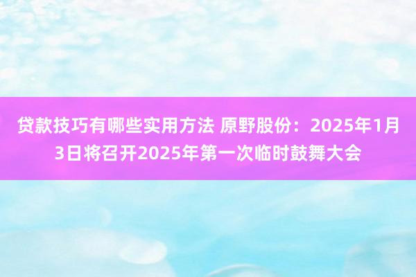 贷款技巧有哪些实用方法 原野股份：2025年1月3日将召开2025年第一次临时鼓舞大会