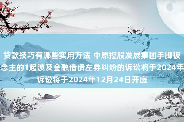 贷款技巧有哪些实用方法 中原控股发展集团手脚被告/被上诉东说念主的1起波及金融借债左券纠纷的诉讼将于2024年12月24日开庭