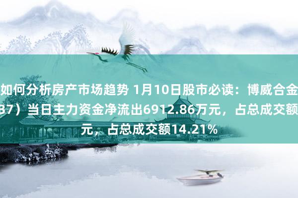 如何分析房产市场趋势 1月10日股市必读：博威合金（601137）当日主力资金净流出6912.86万元，占总成交额14.21%