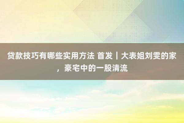 贷款技巧有哪些实用方法 首发｜大表姐刘雯的家，豪宅中的一股清流