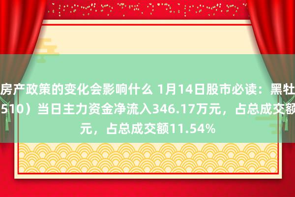 房产政策的变化会影响什么 1月14日股市必读：黑牡丹（600510）当日主力资金净流入346.17万元，占总成交额11.54%