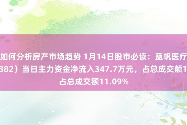 如何分析房产市场趋势 1月14日股市必读：蓝帆医疗（002382）当日主力资金净流入347.7万元，占总成交额11.09%