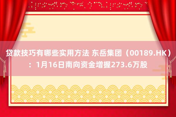 贷款技巧有哪些实用方法 东岳集团（00189.HK）：1月16日南向资金增握273.6万股