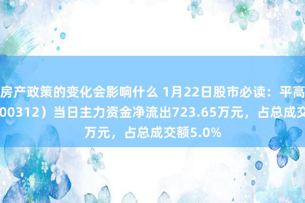 房产政策的变化会影响什么 1月22日股市必读：平高电气（600312）当日主力资金净流出723.65万元，占总成交额5.0%