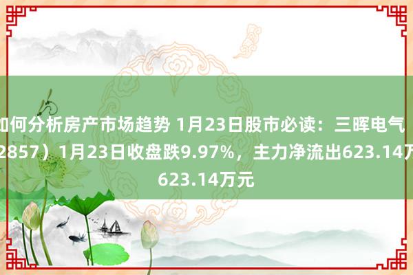 如何分析房产市场趋势 1月23日股市必读：三晖电气（002857）1月23日收盘跌9.97%，主力净流出623.14万元