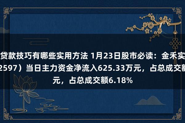 贷款技巧有哪些实用方法 1月23日股市必读：金禾实业（002597）当日主力资金净流入625.33万元，占总成交额6.18%