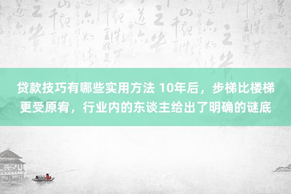 贷款技巧有哪些实用方法 10年后，步梯比楼梯更受原宥，行业内的东谈主给出了明确的谜底