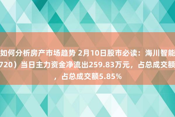 如何分析房产市场趋势 2月10日股市必读：海川智能（300720）当日主力资金净流出259.83万元，占总成交额5.85%