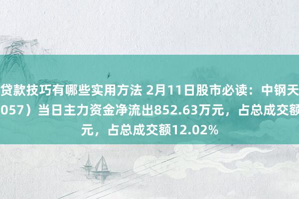 贷款技巧有哪些实用方法 2月11日股市必读：中钢天源（002057）当日主力资金净流出852.63万元，占总成交额12.02%