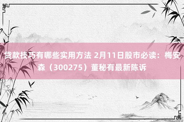 贷款技巧有哪些实用方法 2月11日股市必读：梅安森（300275）董秘有最新陈诉