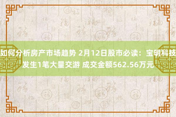 如何分析房产市场趋势 2月12日股市必读：宝明科技发生1笔大量交游 成交金额562.56万元