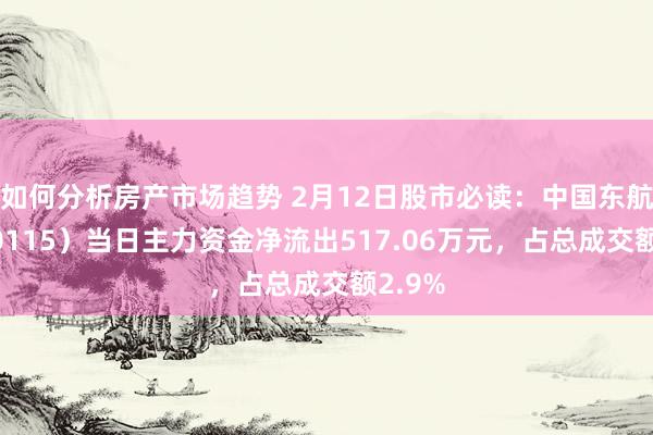 如何分析房产市场趋势 2月12日股市必读：中国东航（600115）当日主力资金净流出517.06万元，占总成交额2.9%