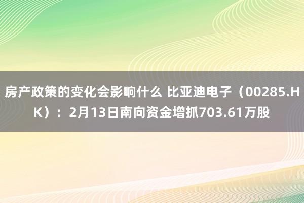 房产政策的变化会影响什么 比亚迪电子（00285.HK）：2月13日南向资金增抓703.61万股