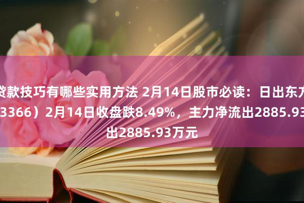 贷款技巧有哪些实用方法 2月14日股市必读：日出东方（603366）2月14日收盘跌8.49%，主力净流出2885.93万元