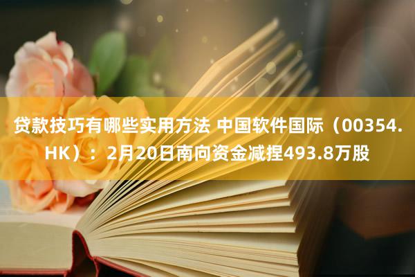 贷款技巧有哪些实用方法 中国软件国际（00354.HK）：2月20日南向资金减捏493.8万股