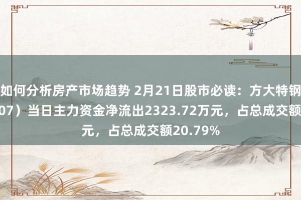 如何分析房产市场趋势 2月21日股市必读：方大特钢（600507）当日主力资金净流出2323.72万元，占总成交额20.79%