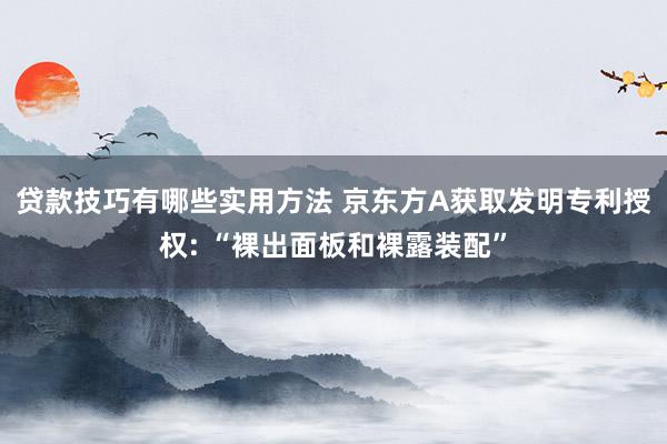 贷款技巧有哪些实用方法 京东方A获取发明专利授权: “裸出面板和裸露装配”