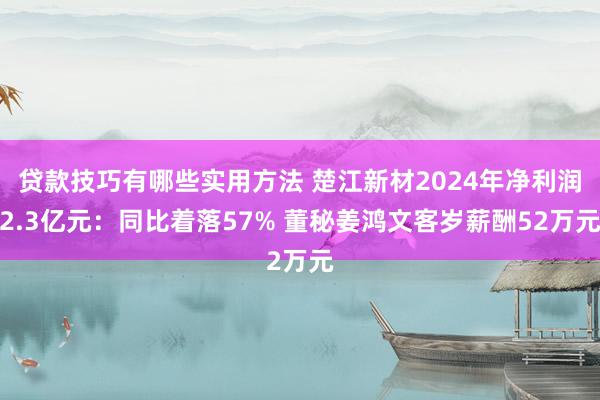 贷款技巧有哪些实用方法 楚江新材2024年净利润2.3亿元：同比着落57% 董秘姜鸿文客岁薪酬52万元