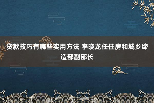 贷款技巧有哪些实用方法 李晓龙任住房和城乡缔造部副部长